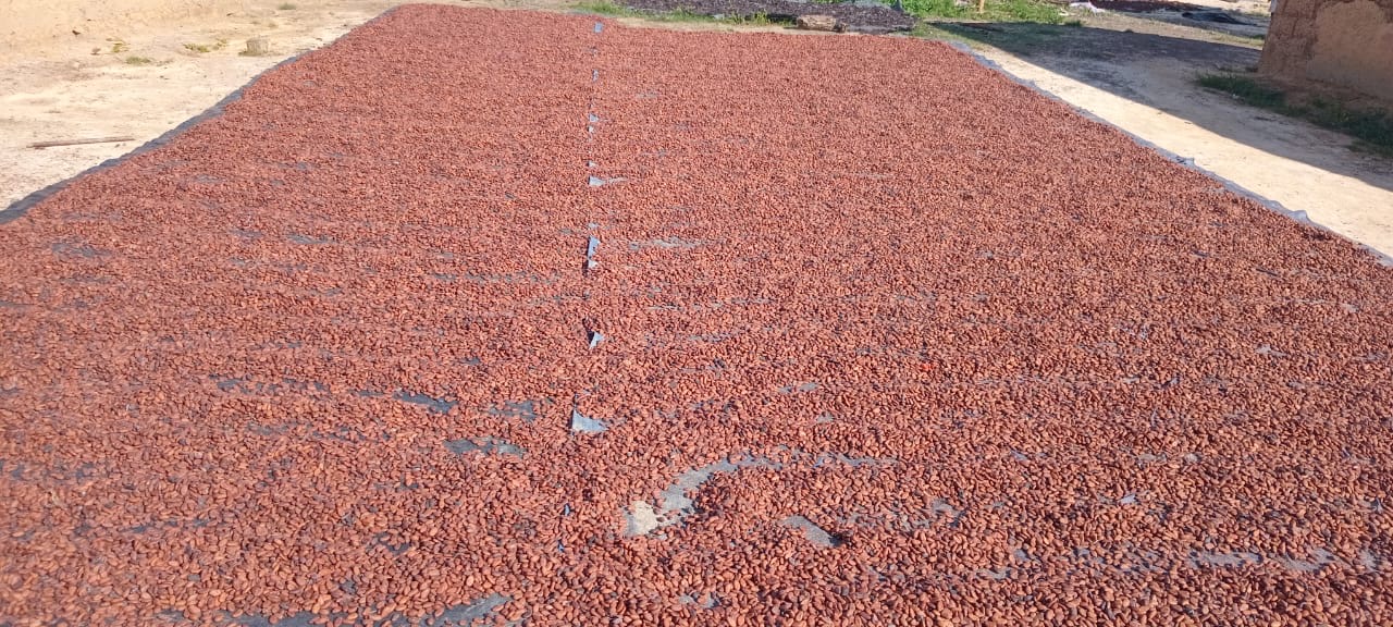 coopérative agricole