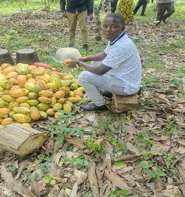 coopérative agricole